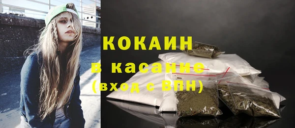 трава Новодвинск