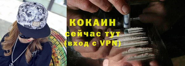 прущие грибы Новокубанск