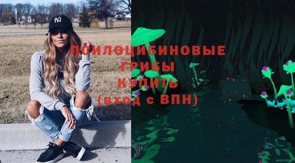 молекула духа Алапаевск