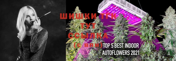 трава Новодвинск