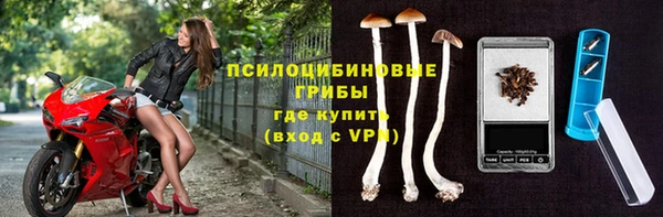 мескалин Новозыбков