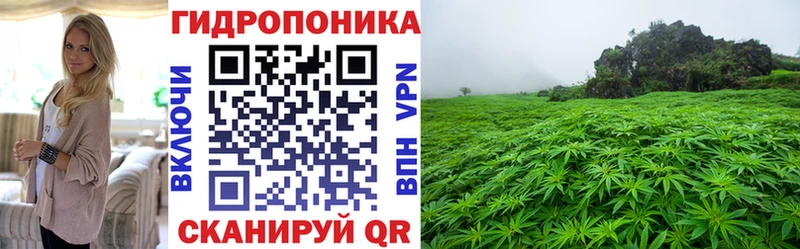 Каннабис семена  Купить  Губкин 